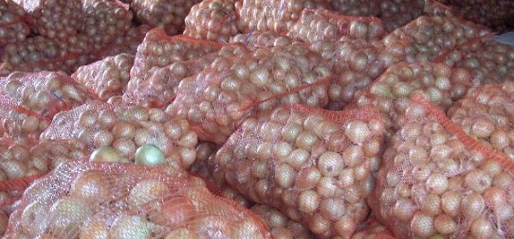 Honduras Government to Guarantee Onion Crops