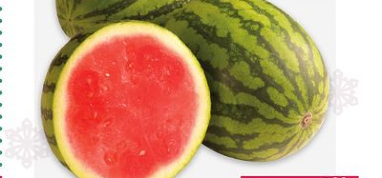 Honduras 2015 Harvest for Melons, Squash, Okra Keeping Exporters Happy