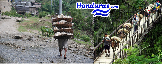Honduras Will Pay for Oil with Chickens and Coffee