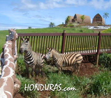 Joya Grande Zoo in Honduras will remain open.
