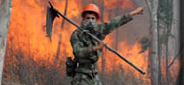 Armed Forces Commit to Prevent Forest Fires