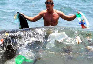 Plastics May be Banned in Guanaja, Roatan and Utila
