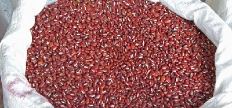Honduran Red Beans Price Declines