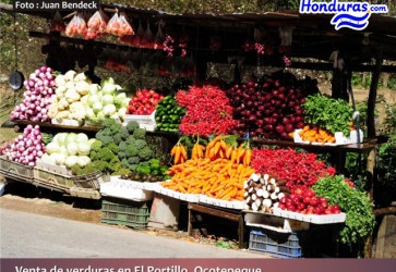 Honduras exports $650 million dollars in fruit and vegetables a year