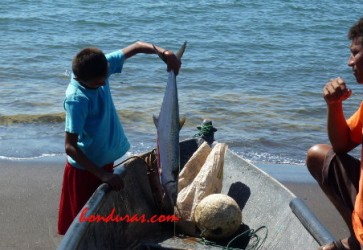 Honduras Receives Award for Promoting Responsible Fishing