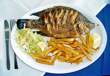 Honduras Tilapia exports grow as the USA consumes the Fillets and Europe produces Cosmetics!