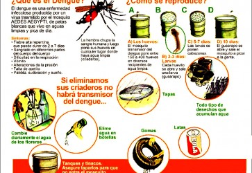 Dengue Cases Increased in Honduras during 2014