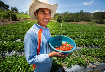 U.S., Honduras Sign Agreement to Promote Agricultural Development and Trade