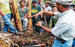 Honduran Banana Growers