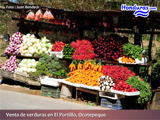 Honduras Exports Fruits and Vegetables