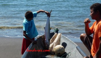 Honduras Receives Award for Promoting Responsible Fishing