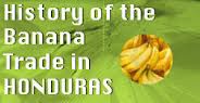 Honduras Banana Facts and History