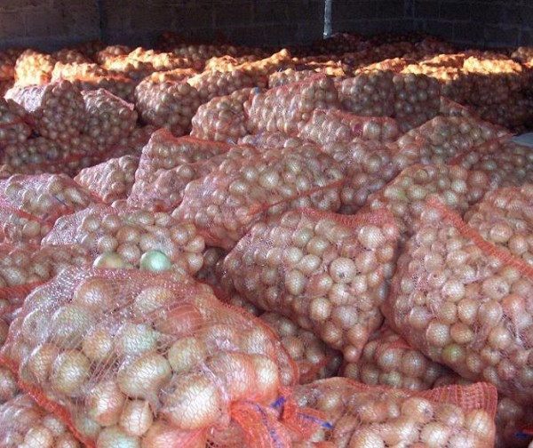 Honduras-to-Import-Onions