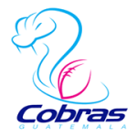 Guatemala-National-Flag-Team-Cobras-Flag-AGFA
